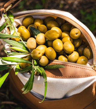 Coneli bag made from Oleatex, a leather crafted from olive oil by-products